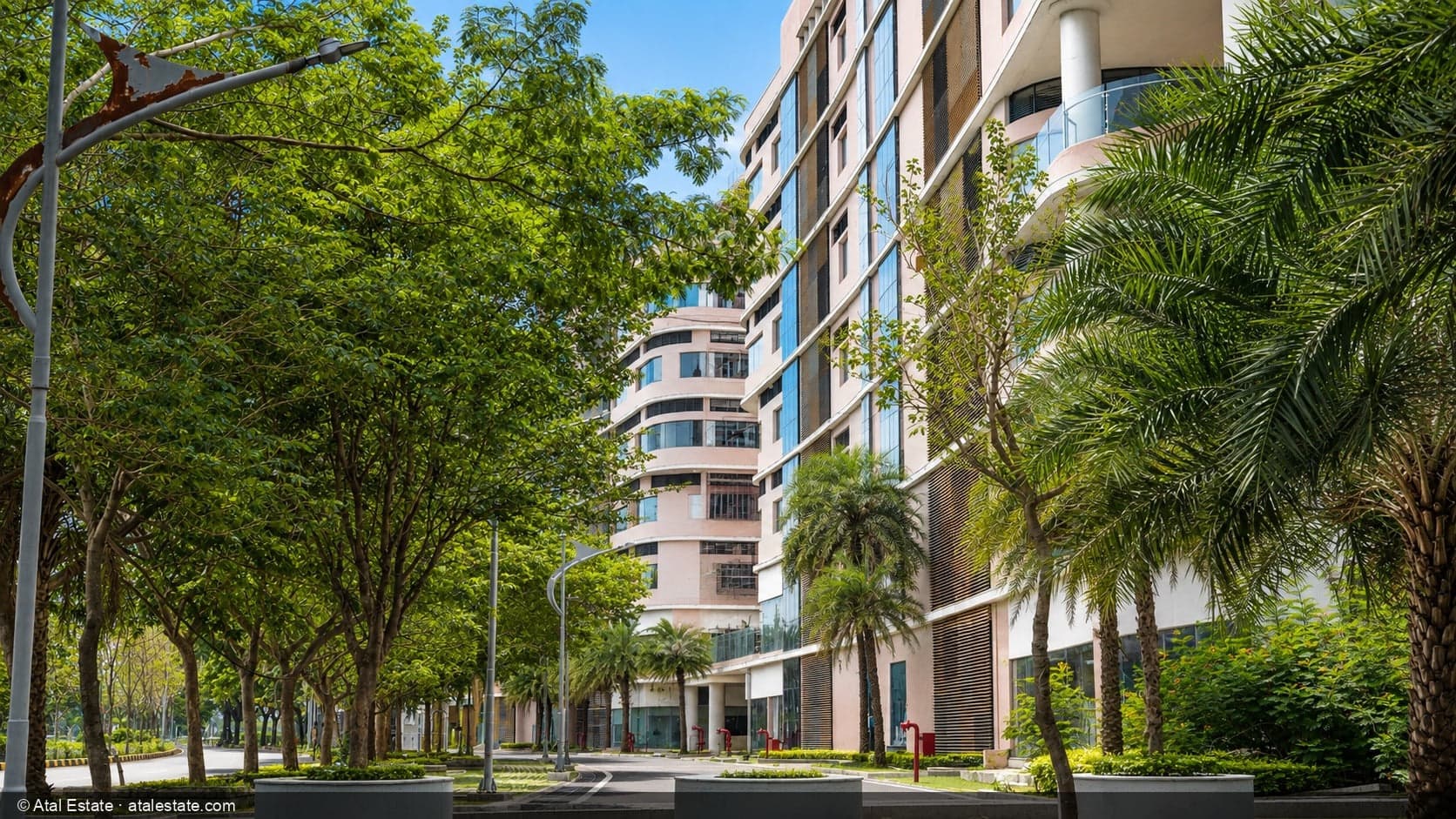 CBD Commercial Complex — tree-lined street aur tower